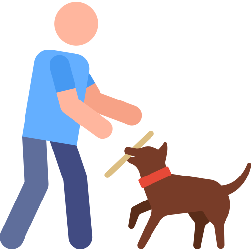Icono de dueño jugando con su perro