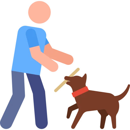 Icono de dueño jugando con su perro