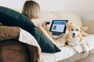 Preparación y trámites para el viaje de tu mascota