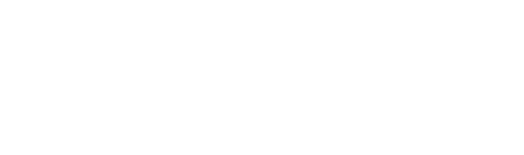 Inu Travels