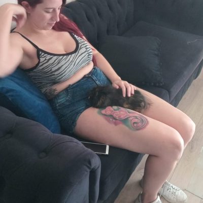 Entrega Inu Travels de animal exótico, cobayo en casa