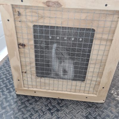 Entrega Inu Travels de animal exótico, cobajo en caja transportadora