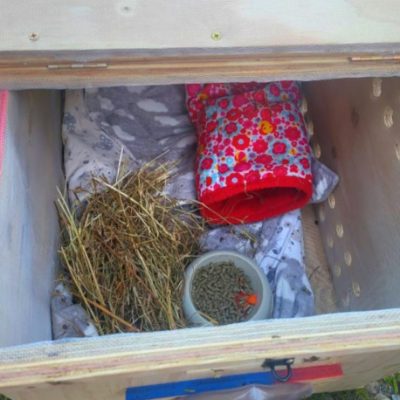 Kennel hecho a medida para cobaya
