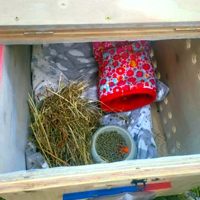kennel_cobaya_hecho_a_medida_mejorado